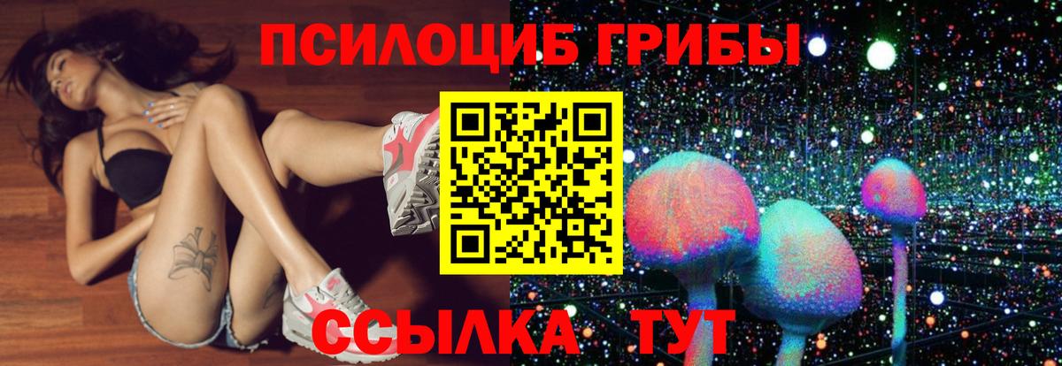 Галлюциногенные грибы мухоморы Биробиджан
